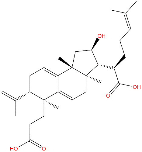 茯苓酸B