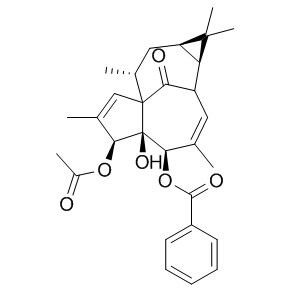甘遂大戟萜酯C