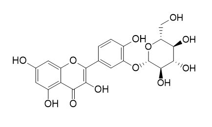 槲皮素-3'-O-葡萄糖苷