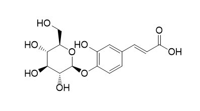咖啡酸4-O-葡萄糖苷