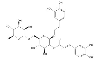 连翘酯苷H