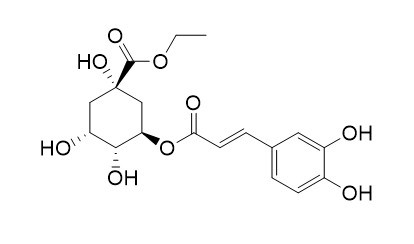 绿原酸乙酯