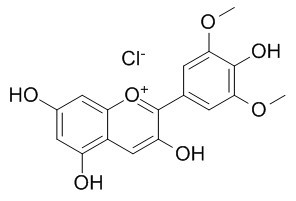 氯化锦葵素