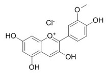 氯化芍药素