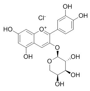 氯化失车菊素-3-O-阿拉伯糖苷