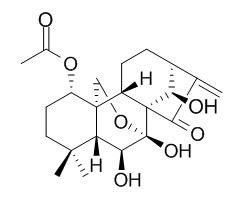 毛栲利素