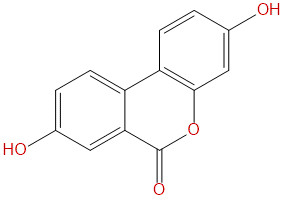 尿石素A