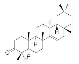 蒲公英赛酮