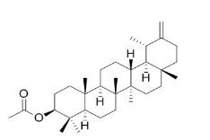 蒲公英甾醇醋酸酯