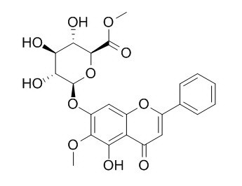 千层纸素A-7葡萄糖醛酸甲酯