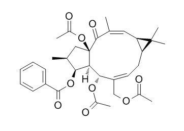 千金子素L7b