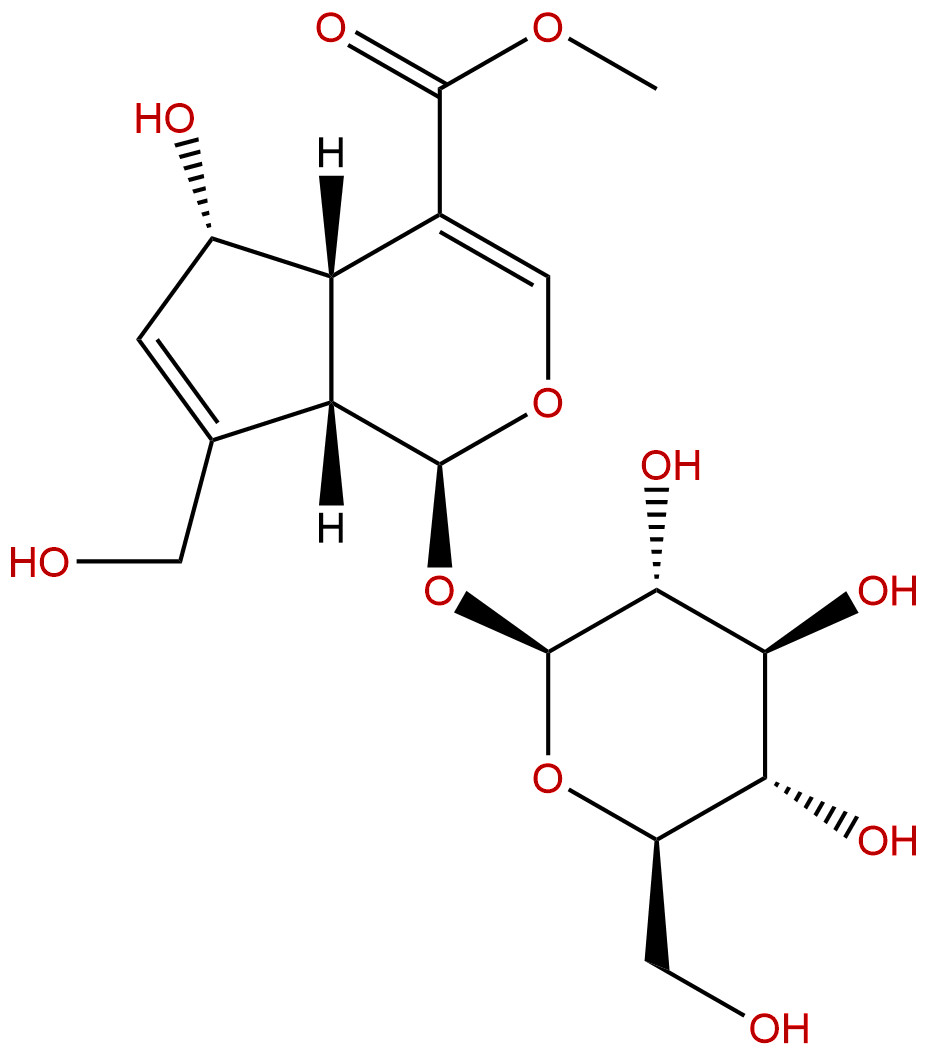 去乙酰基车叶草苷酸甲酯