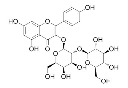 人参黄酮苷