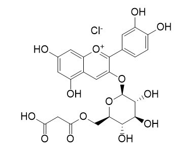 矢车菊素-3（6