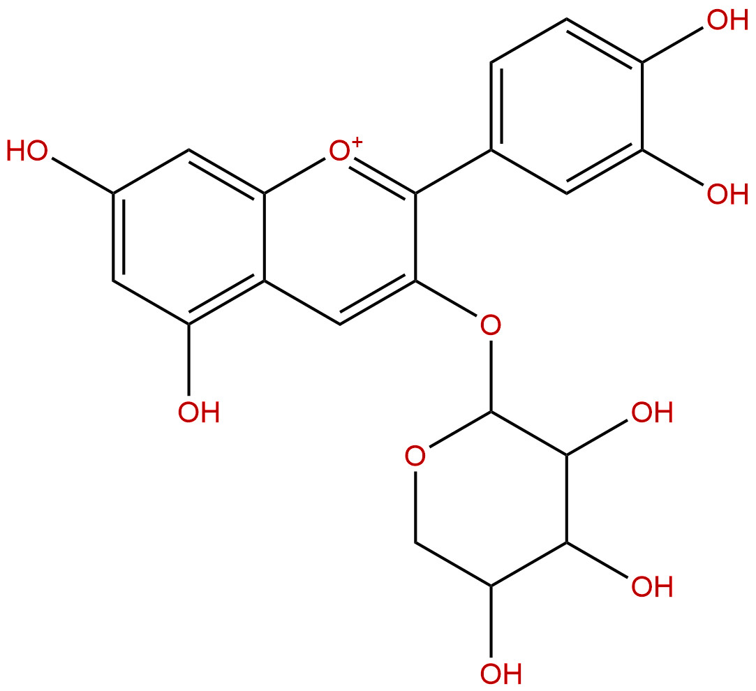 矢车菊素-3-O-阿拉伯糖苷