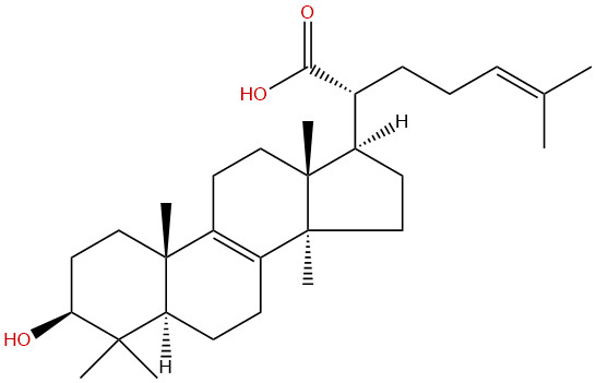 栓菌酸