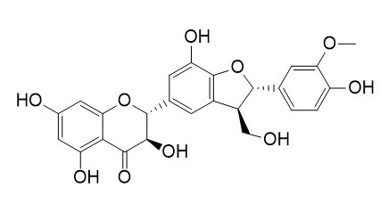 水飞蓟亭B