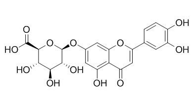 四羟黄酮-7-beta-D-葡糖苷酸