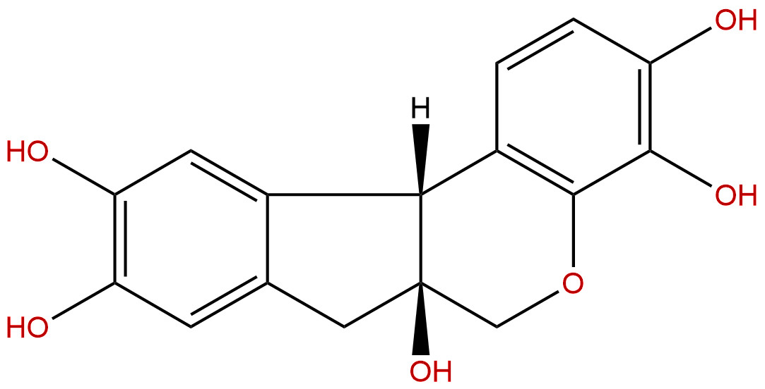 苏木素