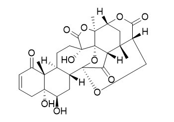酸浆苦味素D