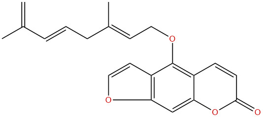 脱水羌活酚