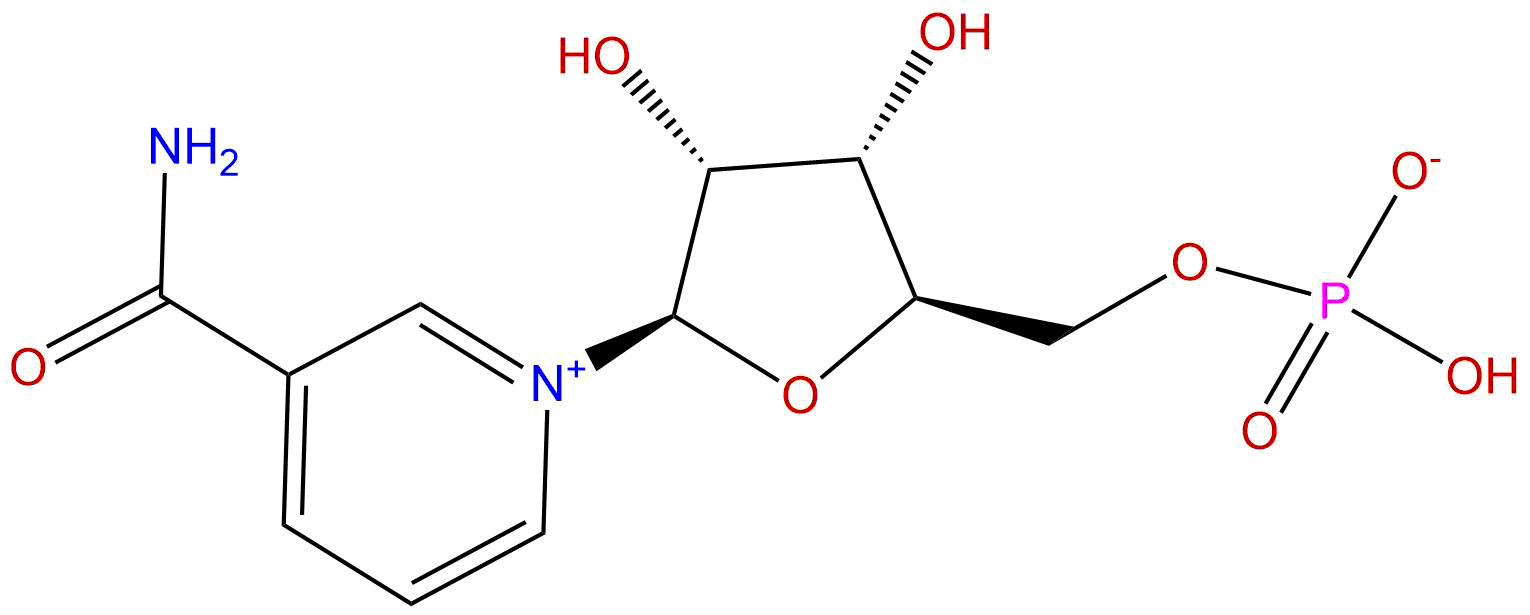 烟酰胺单核苷酸