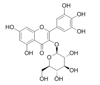 杨梅素-3-O-葡萄糖苷