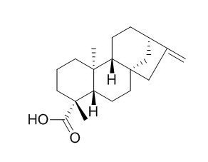 异贝壳杉烯酸