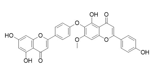 异柳杉双黄酮 
