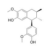 愈创木素