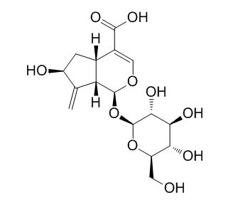 栀子新苷
