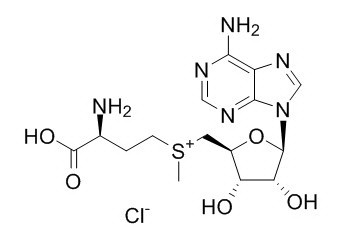 S-(5'-腺苷基)-L-氯化蛋氨酸
