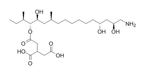 AAL Toxin TB2