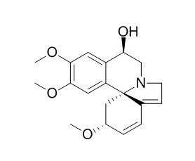 刺桐阿亭