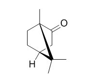 左旋樟脑