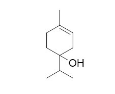 4-萜烯醇
