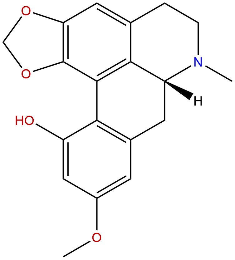 N-甲基瓜馥木碱甲