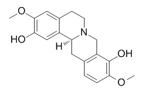 (S)-金黄紫堇碱
