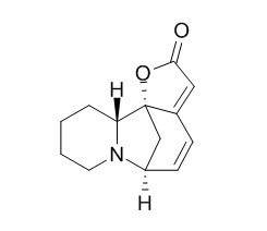 别一叶萩碱
