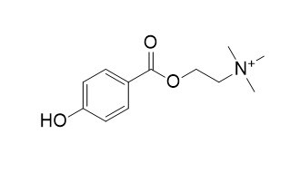 4-羟基苯甲酰胆碱