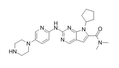 瑞博西尼