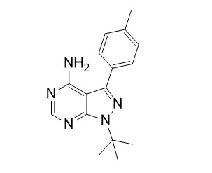 PP1