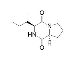 环(异亮氨酰-脯氨酰)