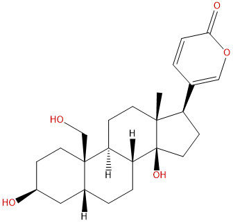 19-羟基蟾毒灵