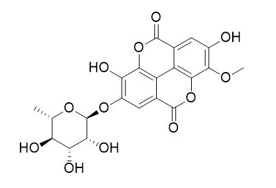 3-O-甲基鞣花酸-4'-O-鼠李糖苷