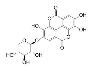 鞣花酸-4-O-beta-D-吡喃木糖苷