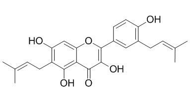 粗毛甘草素A