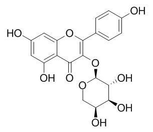 堪非醇3-O-阿拉伯糖苷