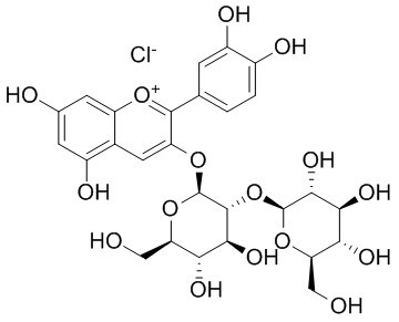 氯化矢车菊素-3-O-槐糖苷