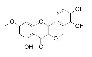 3,7-二-O-甲基槲皮素